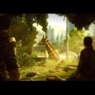 The Last of Us Remastered -kilpailu