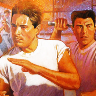 River City Ransom kansi rajattu