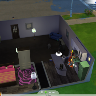 Sims 4