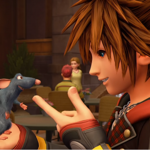 Sora ja Remy_highfive