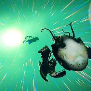 No Man's Sky Living Ship