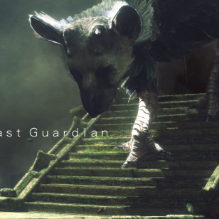 The Last Guardian