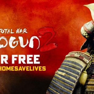 Total War: Shogun 2