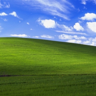 Windows XP Bliss taustakuva
