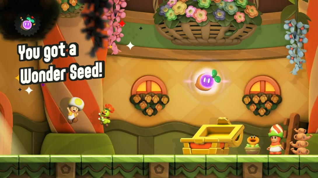 Super Mario Bros Wonder seed
