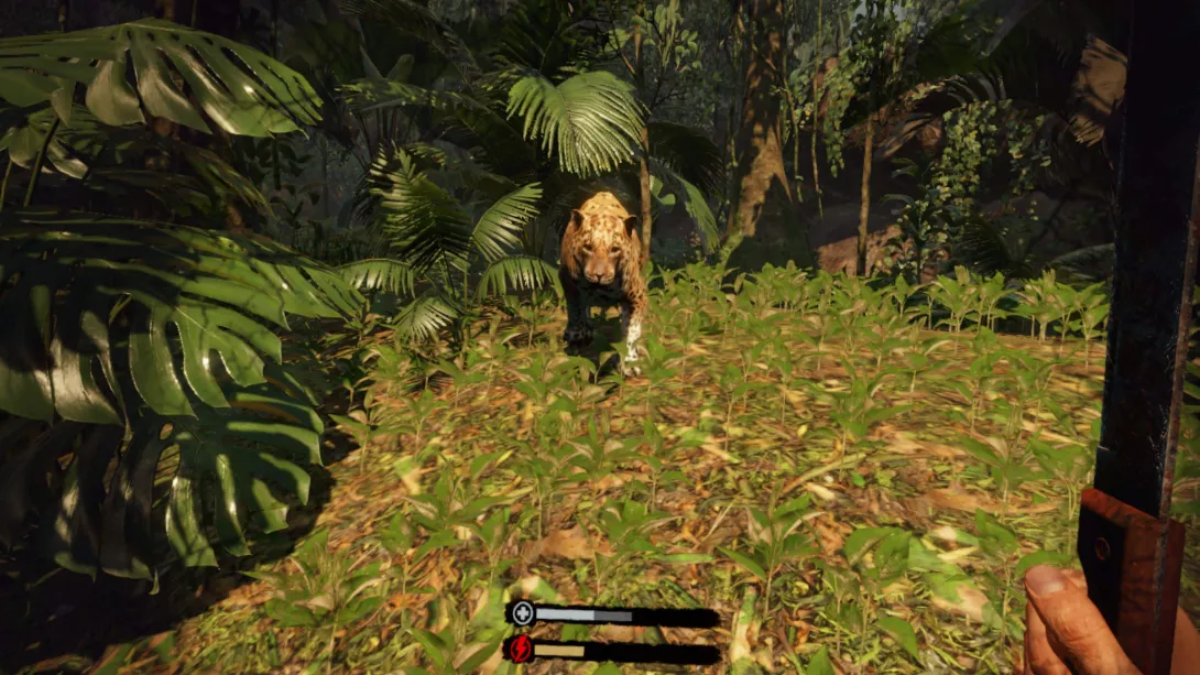 Green Hell VR tikru