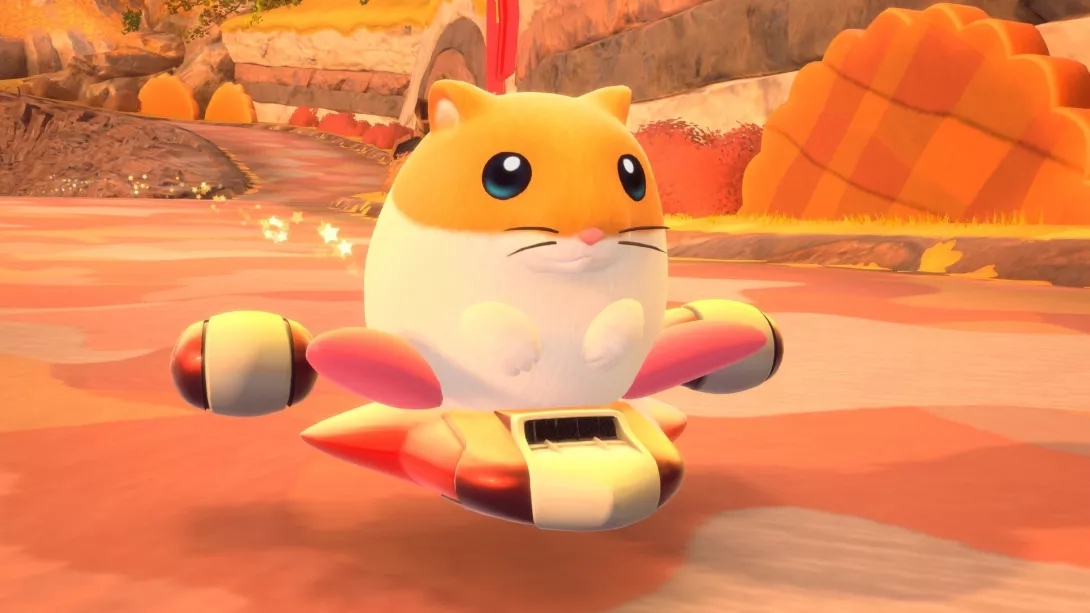 Air Riders hamsteri.jpg