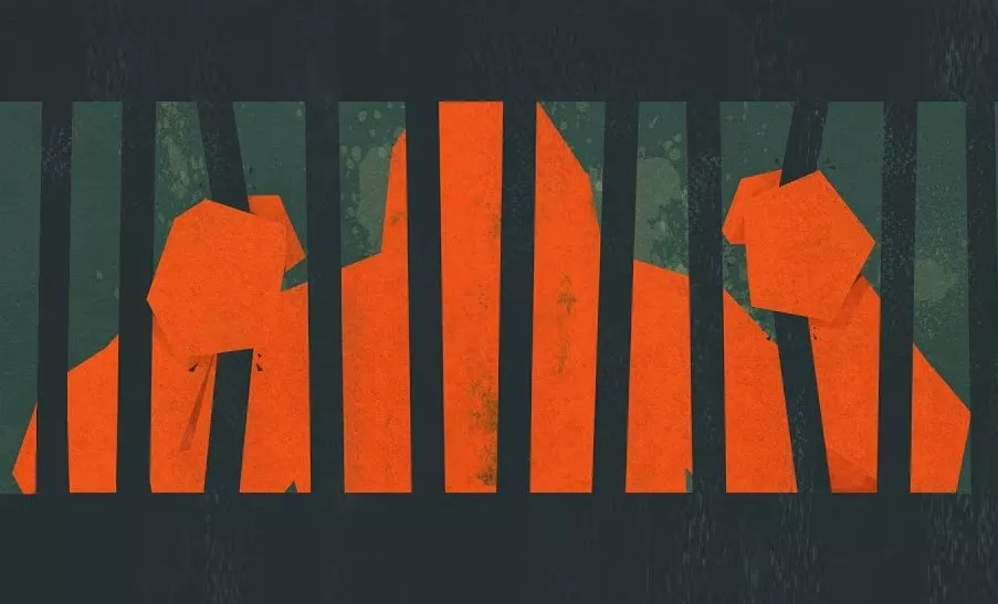 Ape Out banner.jpg