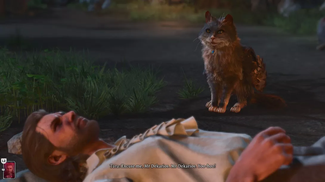 Baldur's Gate 3 kissa leirivieraana.jpg