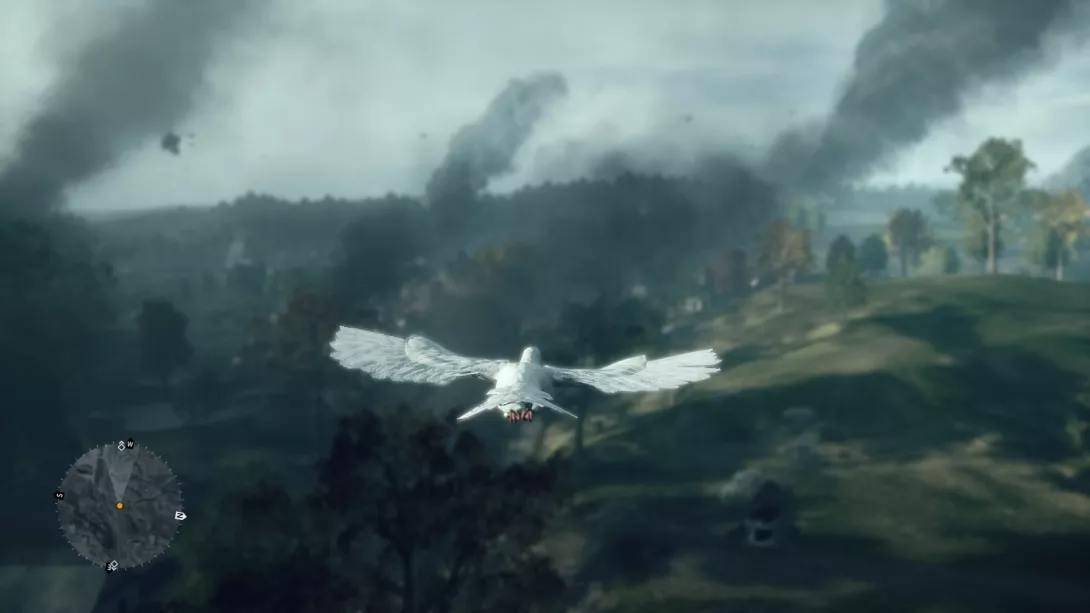Battlefield 1 kyyhky