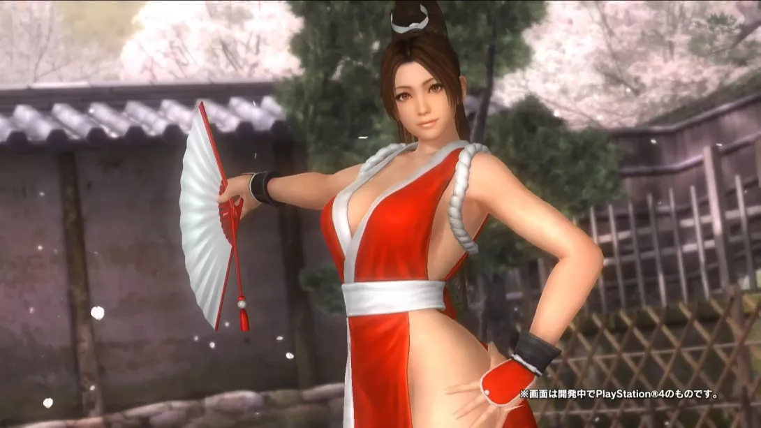 Dead or Alive 5