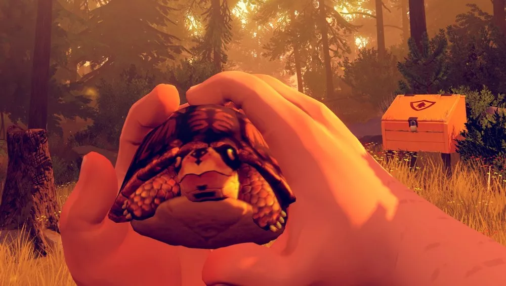 Firewatch2.jpg