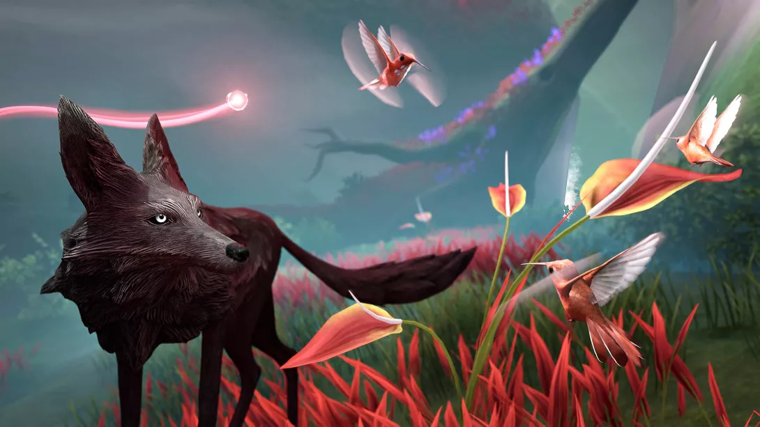Lost Ember.jpg
