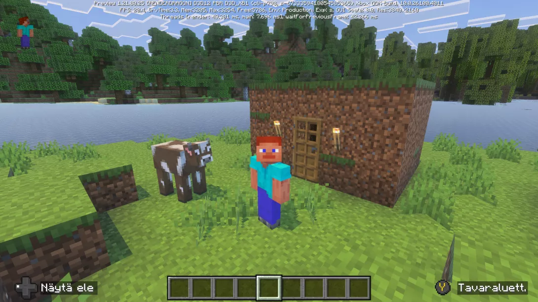 Minecraft talo.PNG