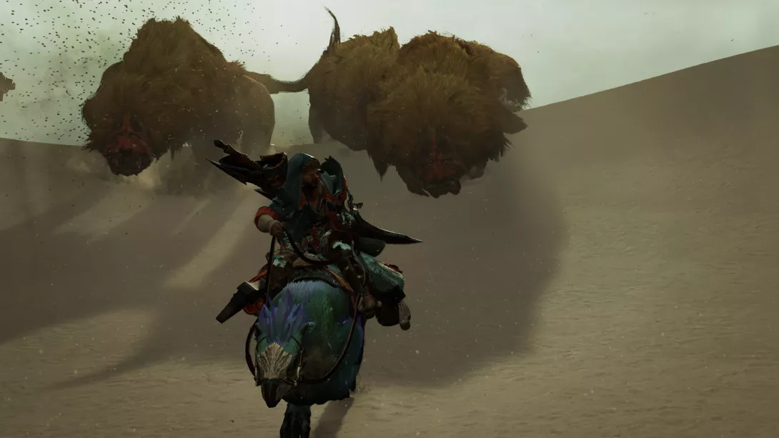 Monster Hunter Wilds: dyynit