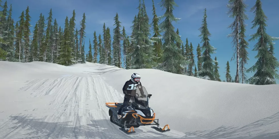 Sledders