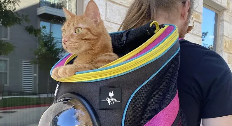 Stray