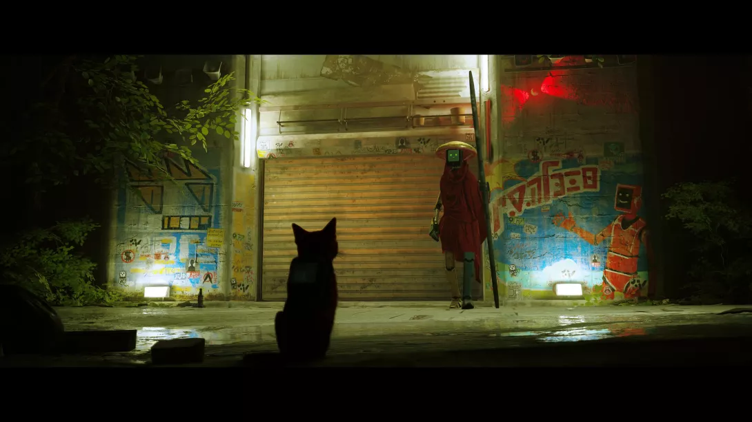 Stray_paljon vartija
