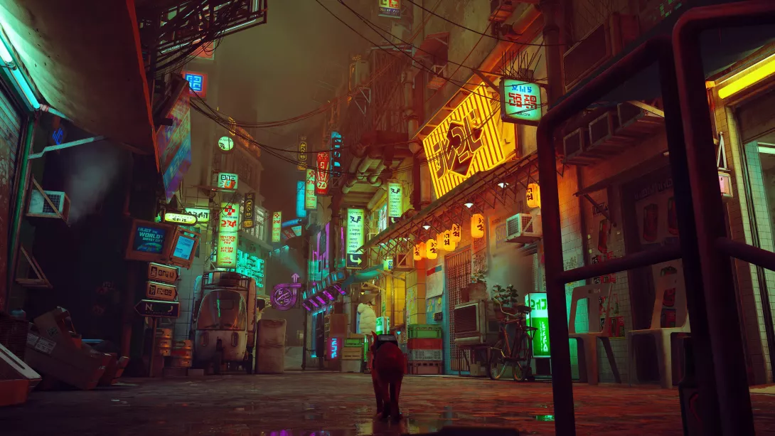 Stray_citynäkymät