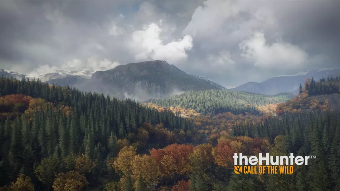 the Hunter: Call of the Wild: Kansi
