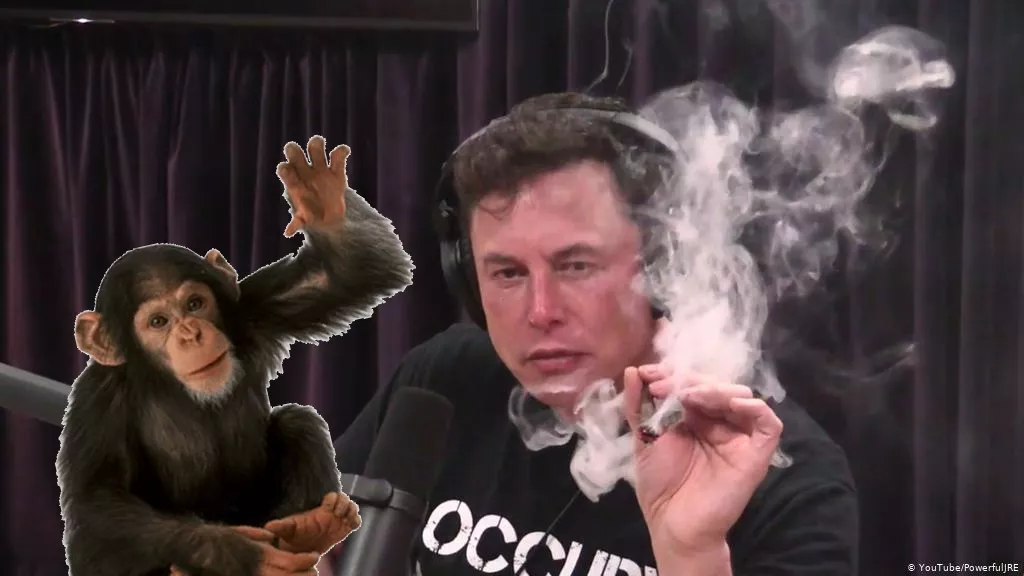elon musk.png