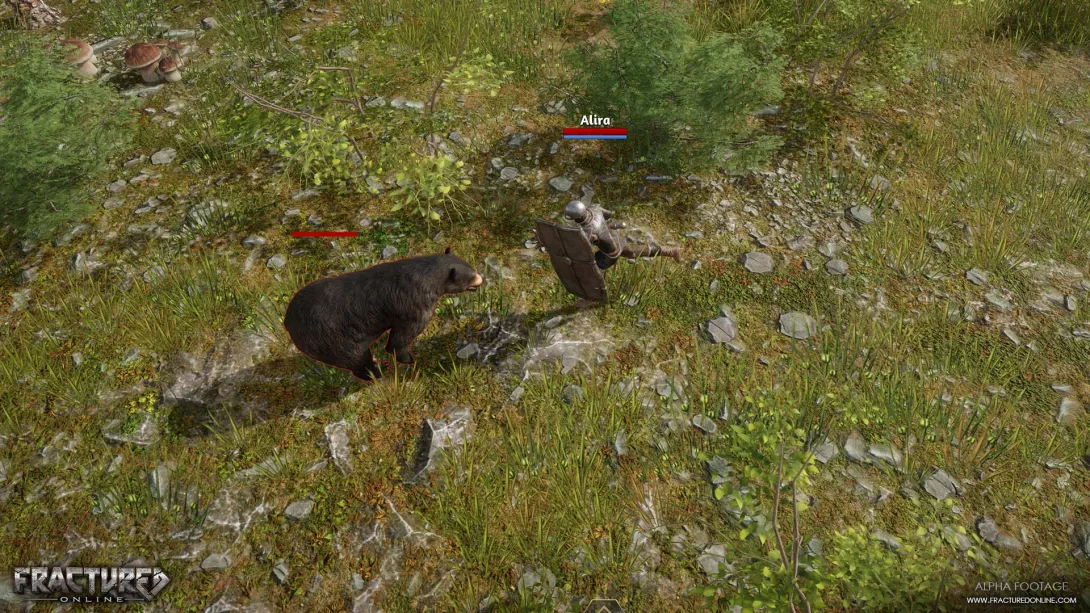 fractured online karhu.jpg