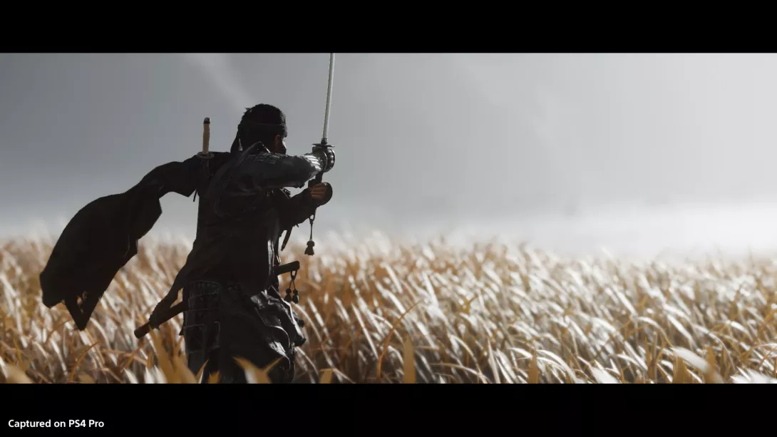 ghostoftsushima.jpg