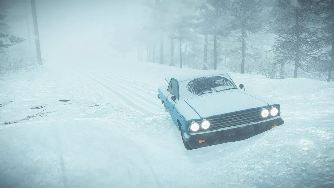 kona auto 2.jpg