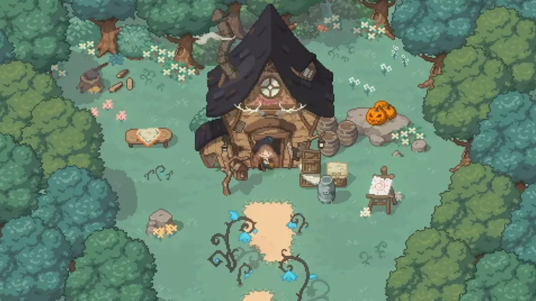 little witch in the woods.png