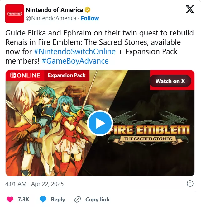 nintendo of america - fire emblem - nintendo switch.png