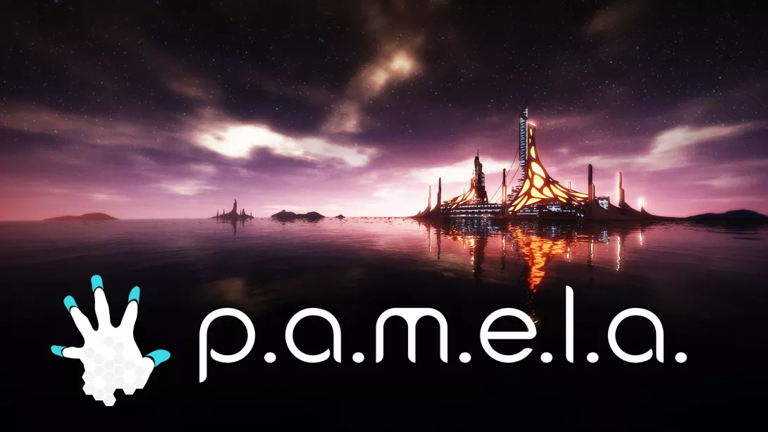 P.A.M.E.L.A.: Kansi