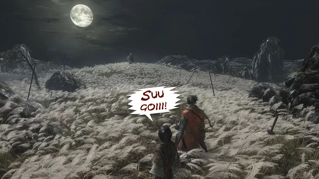 sekiro04.jpg