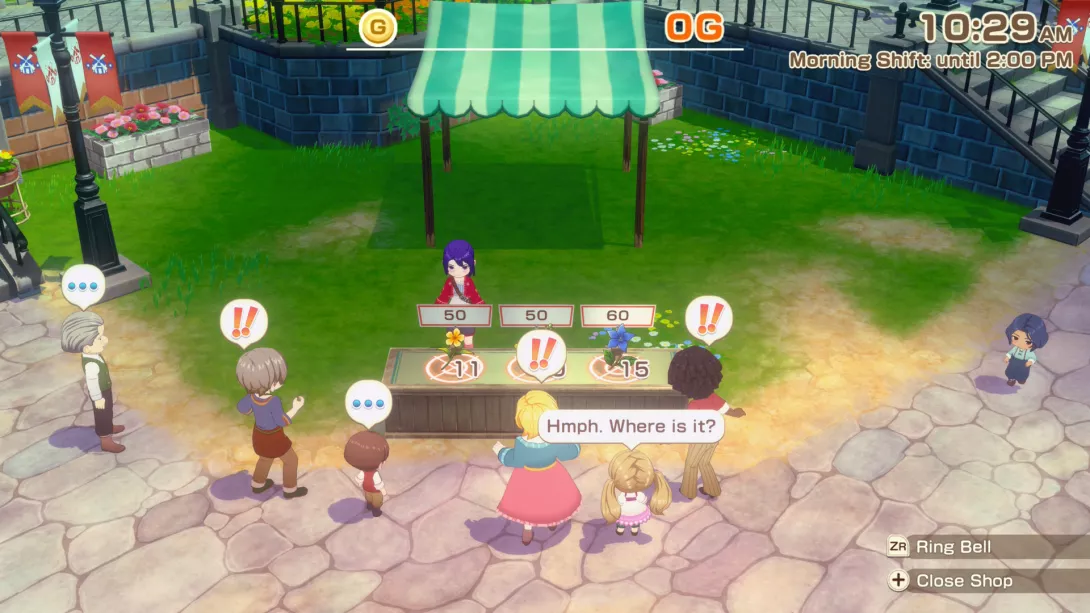 story of seasons grand bazaar 5