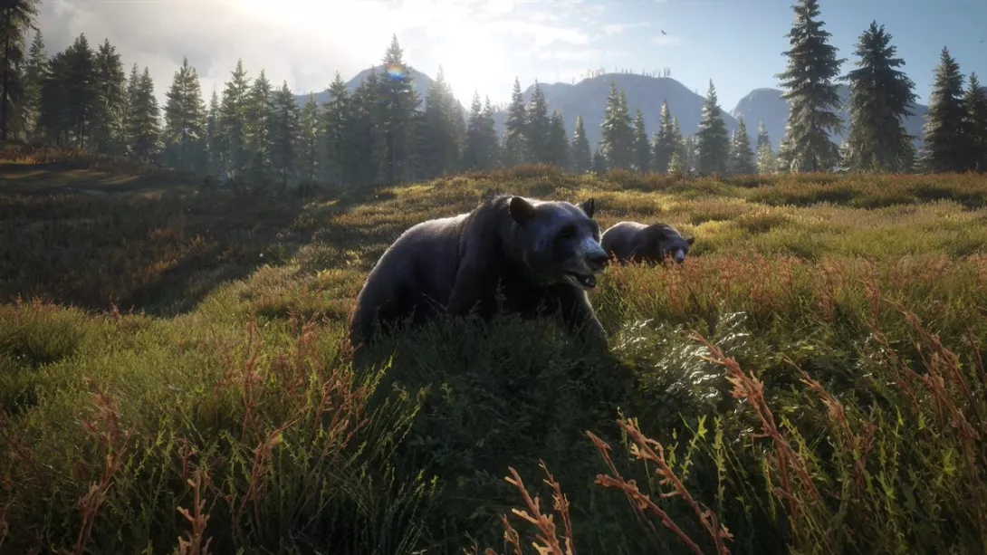 theHunter - Call of the Wild.jpg