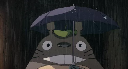 totoro