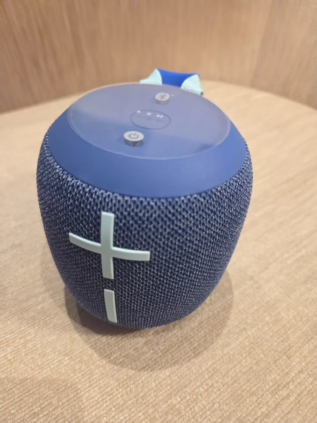 wonderboom 04.jpg