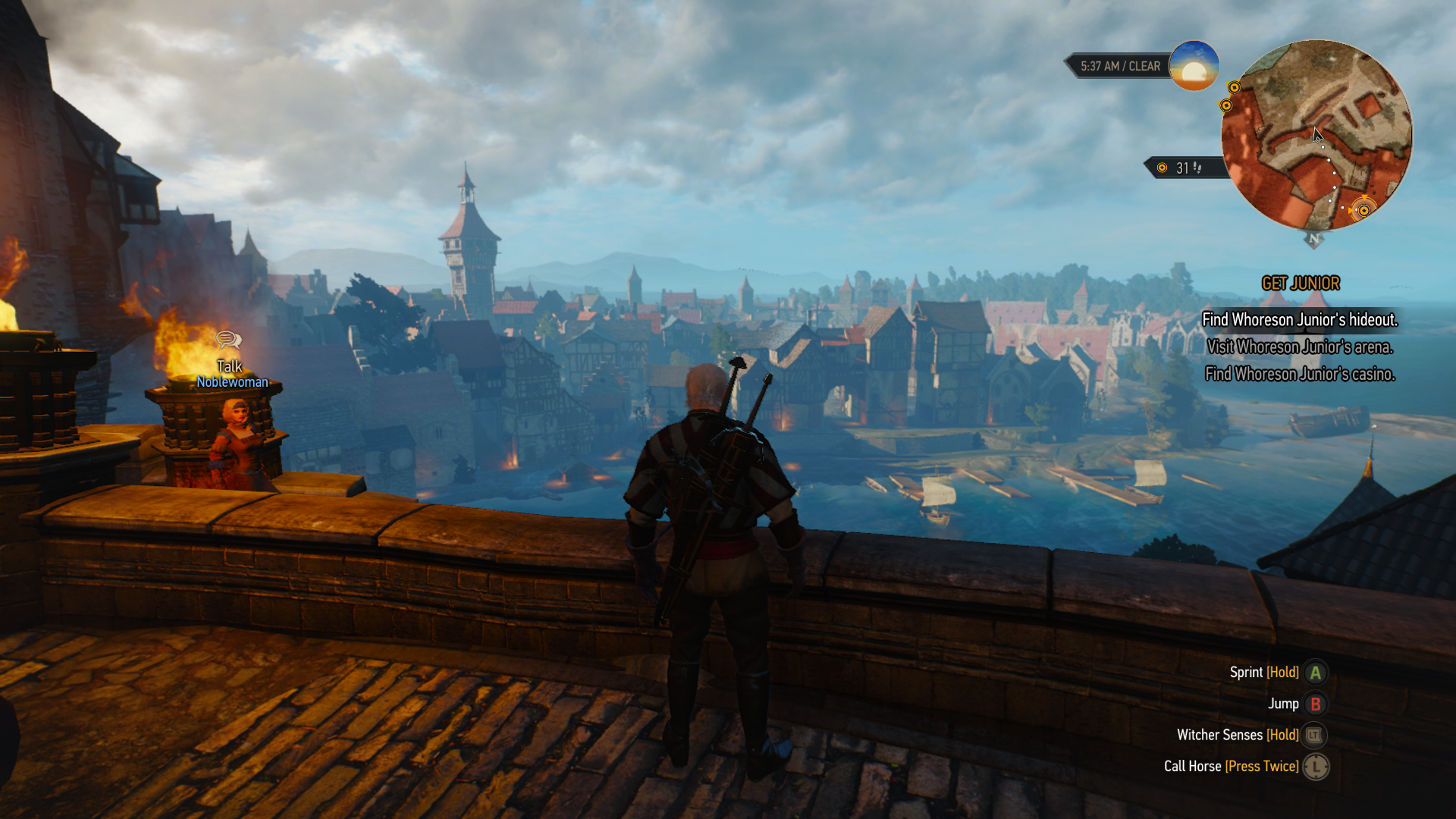 witcher3novigrad.PNG